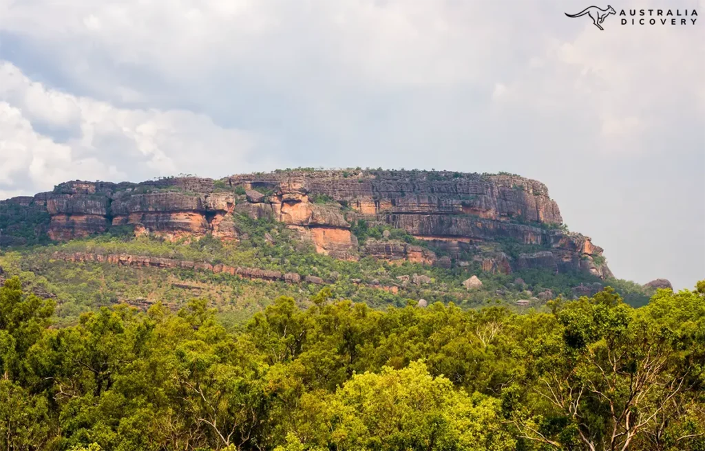 Nawurlandja-Rock-Kakadu,-Australia